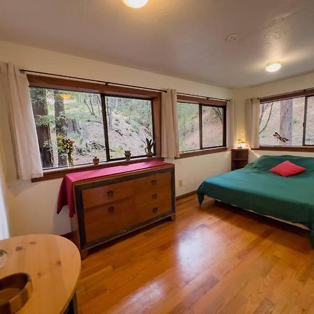 Little House In The Redwoods With A Hot Tub! Lägenhet Garberville Exteriör bild