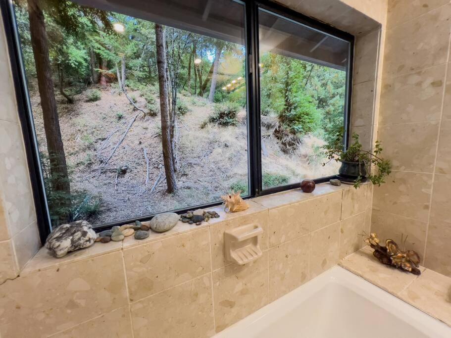 Little House In The Redwoods With A Hot Tub! Lägenhet Garberville Exteriör bild
