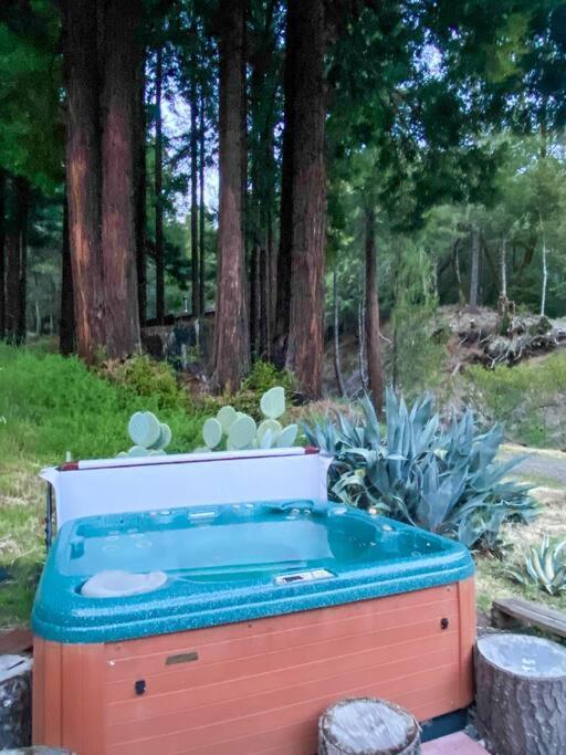 Little House In The Redwoods With A Hot Tub! Lägenhet Garberville Exteriör bild