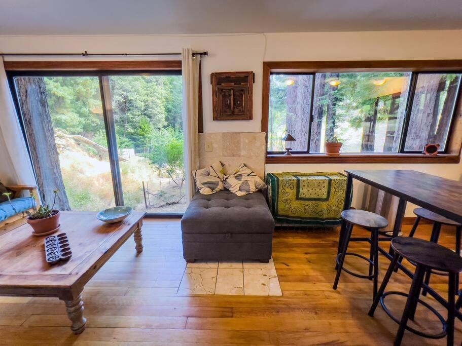 Little House In The Redwoods With A Hot Tub! Lägenhet Garberville Exteriör bild